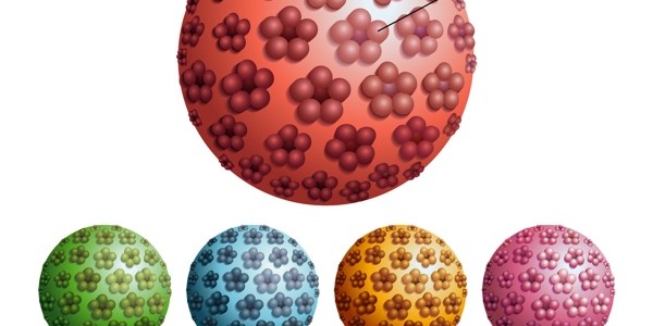 Papilloma Virus