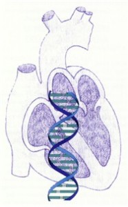 Bioheart